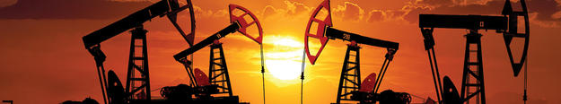 Energy Sealing Systems - Oil & Gas Seals